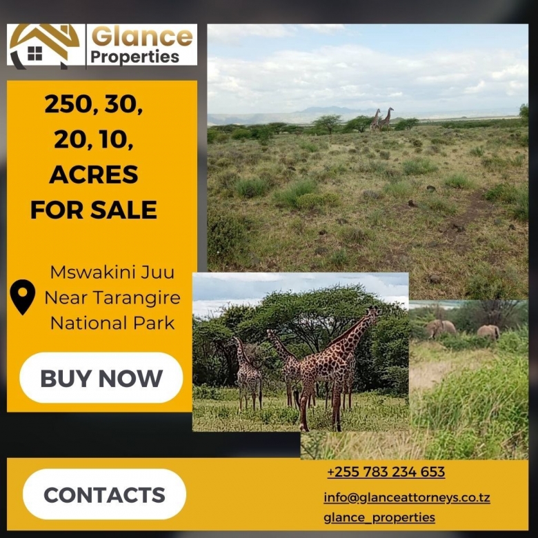 10, 20, 30 and 250 Acres for Sale at Mswakini Juu Near Tarangire National Park